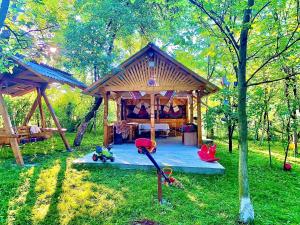 Zahrada ubytování Casa Grai Moroșănesc