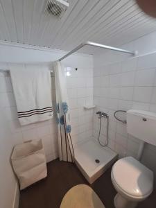 een witte badkamer met toilet en douche bij balconi 1911 - Traditional house in Ydroussa, Samos in Ydroússa +46 foto's
