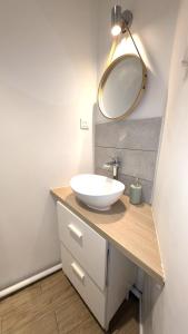 ein Badezimmer mit einem Waschbecken und einem Spiegel auf einer Ablage in der Unterkunft Le Nid Auxerrois in Auxerre + 20 Fotos