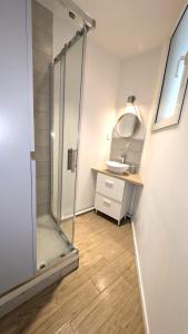 ein Badezimmer mit Dusche und Waschbecken in der Unterkunft Le Nid Auxerrois in Auxerre