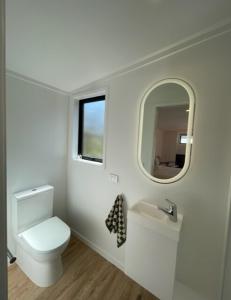 a bathroom with a toilet and a sink and a mirror at The Coconut Hut Papamoa Beach in Tauranga