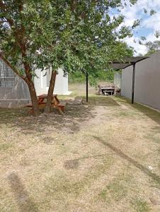 ein Picknicktisch und ein Baum im Hof in der Unterkunft San Antonio de Arredondo in San Antonio de Arredondo