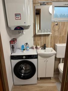 een kleine badkamer met een wasmachine en een wastafel bij Hiža Bake Veronike in Hrašćina +13 foto's