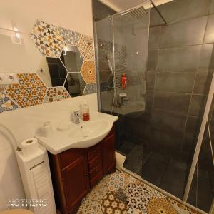 a bathroom with a sink and a shower at Studio Catalin in Braşov