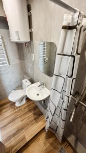 une salle de bain avec un lavabo, des toilettes et un miroir dans l'établissement Поділля, à Netishyn