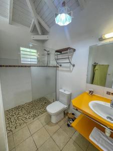 a bathroom with a toilet and a sink and a mirror at GPSA82 - 4 pax in Fouché