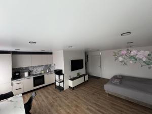Η κουζίνα ή μικρή κουζίνα στο JK apartment +2 φωτογραφίες