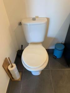 a bathroom with a white toilet in a room at Appartement Cosy in Le Crès +6 photos