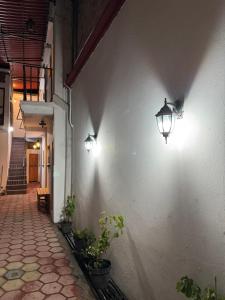 Φωτογραφία από το άλμπουμ του Pacifico σε Oaxaca City