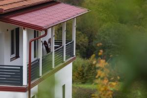 a dog sitting on a balcony of a house at NolE Apartments in Visoko