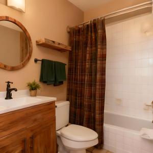 a bathroom with a toilet and a sink and a shower at Jackson Hole Alpine Residence in Jackson