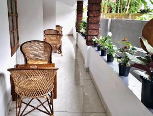 a row of wicker chairs in a room with plants at Gypsy Walker Plus in Varkala