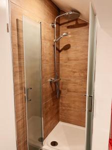 ヴィヒタッハにあるApartment Viechtachの浴室のガラス扉付きシャワー