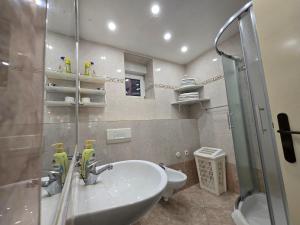 a bathroom with a sink and a shower and a toilet at Apartmani Vanessa in Dramalj +40 photos