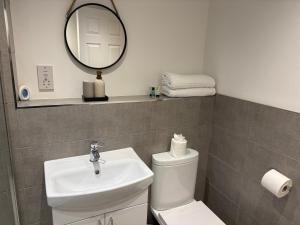 a bathroom with a sink and a toilet and a mirror at Kinfirth Apartment in Ayr