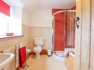 a bathroom with a toilet and a shower at Bryn Re in Trawsfynydd +25 photos