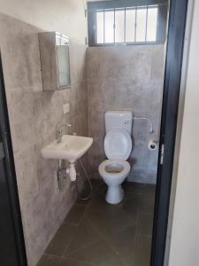 a bathroom with a toilet and a sink at residence exotica in Île aux Chats