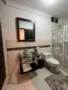 a bathroom with a sink and a toilet and a mirror at Habitación en la ciudad de Francisco de Orellana in Francisco de Orellana