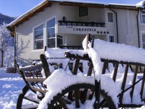 Vila Carpathia during the winter