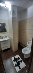 a bathroom with a toilet and a sink at Garsoniera Mihaela in Craiova