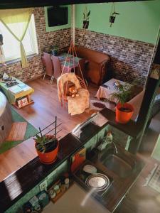 Vista de una sala de estar con un perro tumbado en un sofá en Sunčana Strana Fruške Gore - veliko imanje sa kucom za odmor, en Velika Remeta 64 fotos más