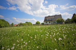a field of white flowers in front of a house at FeWo Blickweite in Hessisch Oldendorf