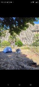 a tent and a table and chairs in a field at Abrigo Quixadá in Quixadá