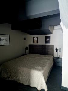 une chambre avec un grand lit et un plafond bleu dans l'établissement Stylish loft, à Vilnius