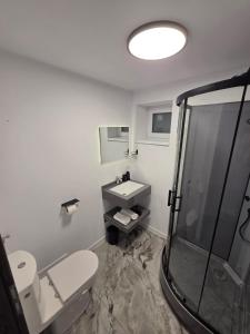 Un baño con ducha, inodoro y lavabo. en Panoramic View Bran, en Bran 9 fotos más