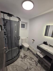 Un baño con ducha, inodoro y lavabo. en Panoramic View Bran, en Bran