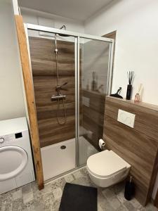 a bathroom with a shower and a toilet and a sink at Chalet Pallegg in Hinterthal +9 photos