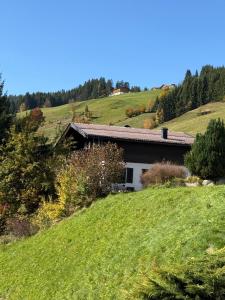 Fotografie z fotogalerie ubytování Chalet Pallegg v destinaci Hinterthal