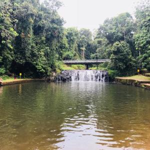 a river with a waterfall and a bridge over it at Malanda Falls Retreat in Malanda +9 photos