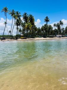 a beach with palm trees and the water at Pousada Almaré Boipeba in Ilha de Boipeba +34 photos