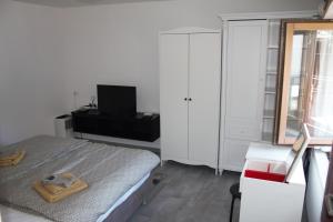 TV a/nebo společenská místnost v ubytování Vol i Ovčica