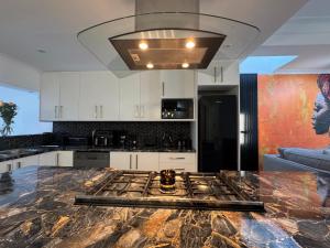 Kuchyň nebo kuchyňský kout v ubytování Urban Oasis Penthouse-Jacuzzi! + 23 fotografií