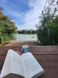 Θέα στο ποτάμι κοντά σε αυτή η παραθεριστική κατοικία