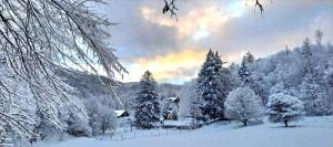 a snow covered forest with a house and trees at Oben im Selketal in Harzgerode