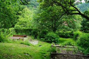 two benches in a park with a stream and trees at Oben im Selketal in Harzgerode +5 photos
