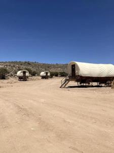 MeadviewにあるGrand Canyon Covered Wagon for Family-Friendly Glamping in Meadview, Arizonaの未舗装の野原のテント2棟