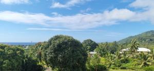 a view of a forest of trees and mountains at Ocean Beach Town View - Infinity Pool in Avarua