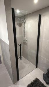 a shower with a glass door in a bathroom at Good Vibes Luxury Homes in Kaiserslautern