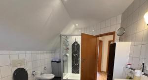 a bathroom with a shower and a toilet and a sink at Wohnung Arton in Möhlin