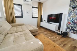 TV a/nebo společenská místnost v ubytování Alpine View Premium