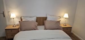 ein Schlafzimmer mit einem Bett mit Kissen und zwei Lampen in der Unterkunft Hebergement DEUX pièces en résidence propre et calme in Lieusaint