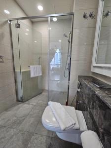 a bathroom with a shower and a toilet with a glass door at Panorama luxury Suites At TM Persiaran Stonor KLCC in Kuala Lumpur