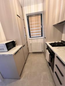 Kuchyň nebo kuchyňský kout v ubytování The Hills Premier Studio + 16 fotografií