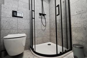 a shower in a bathroom with a toilet at Green Alpine Nest in Komenda +7 photos