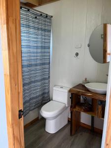 une salle de bains avec toilettes et lavabo dans l'établissement Hostal patronal bypass el rosal k485, à Salto del Laja