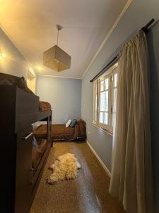 een hond op de vloer in een kamer bij Residencia La Serena in Bernal +16 foto's